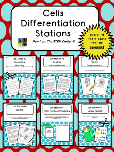 Cells: Differentiation Stations
