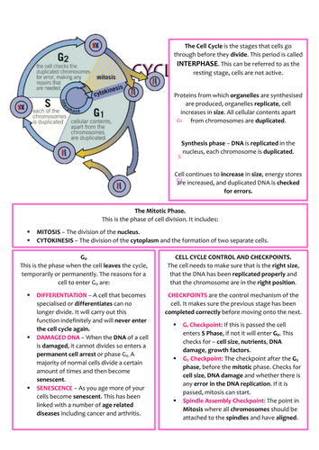 Biology OCR AS/A2 Revision Notes - Module 2 (Foundations in Biology ...