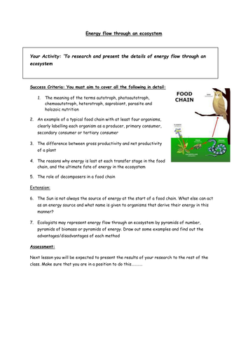 Energy flow through an ecosystem: independent learning task