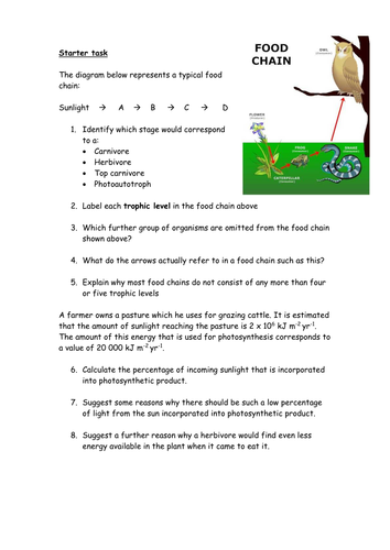 Food chains