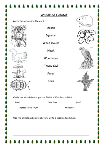 woodland habitat worksheets differentiated by