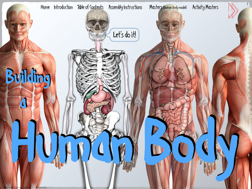Building a Human Body BUNDLE | Teaching Resources