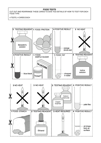 Human digestive enzymes (& food tests) - NEW GCSE | Teaching Resources