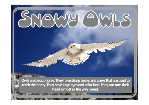 ARCTIC EXPLORERS RESOURCES LITERACY EYFS KS 1-2 ANIMALS ROLE PLAY ...