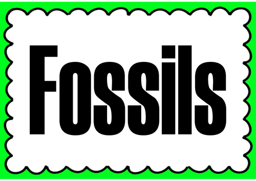 FOSSILS TEACHING RESOURCES KS1, KS2 SCIENCE HISTORY ANIMALS DINOSAURS ...