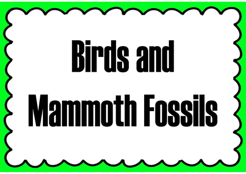 FOSSILS TEACHING RESOURCES KS1, KS2 SCIENCE HISTORY ANIMALS DINOSAURS BONES