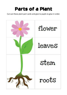 GROWING PLANTS SCIENCE TEACHING RESOURCES EARLY YEARS KEY STAGE 1-2 ...