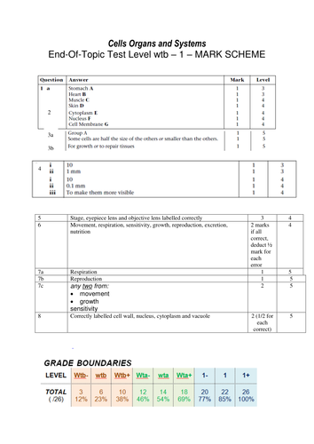 docx, 72.57 KB