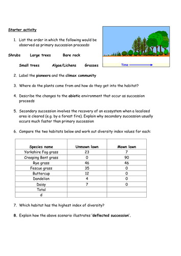 Succession & Diversity Index