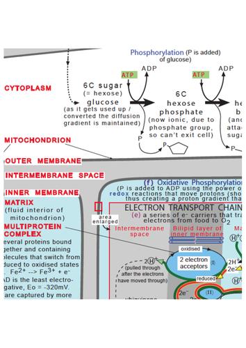 pdf, 99.42 KB