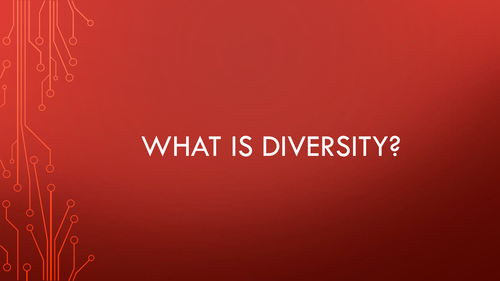 What is Diversity?