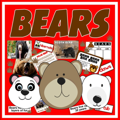 BEARS TEACHING RESOURCES SCIENCE ANIMALS EYFS KS 1-2 ROLE PLAY LITERACY KS1-2