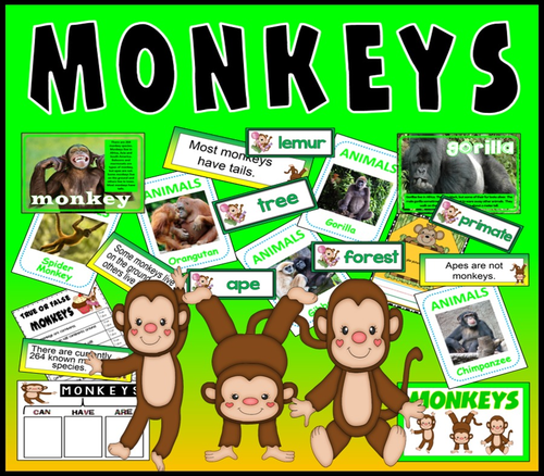 MONKEYS PRIMATES TEACHING RESOURCES KEY STAGE 1-2 SCIENCE DISPLAY ANIMALS