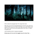 descriptive essay lost in the forest