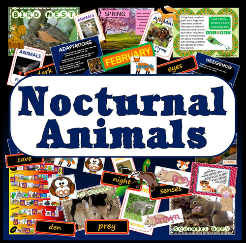 NOCTURNAL ANIMALS TEACHING RESOURCES DISPLAY SCIENCE HIBERNATION KS 1-2