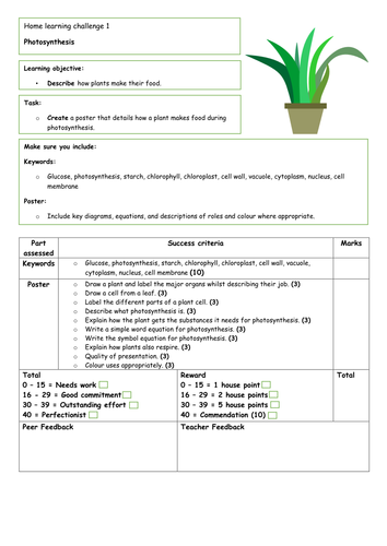 docx, 72.95 KB