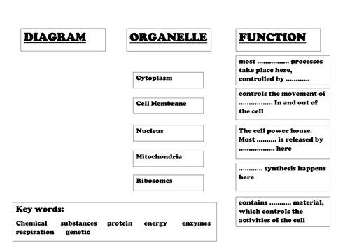 docx, 35.9 KB