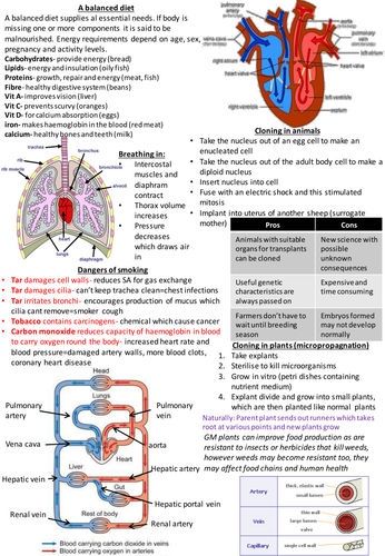 Igcse Biology Revision Notes Edexcel Teaching Resources 3560