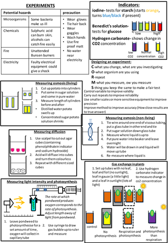 igcse biology experiment notes