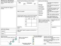 Edexcel CB3 Revision Worksheet | Teaching Resources