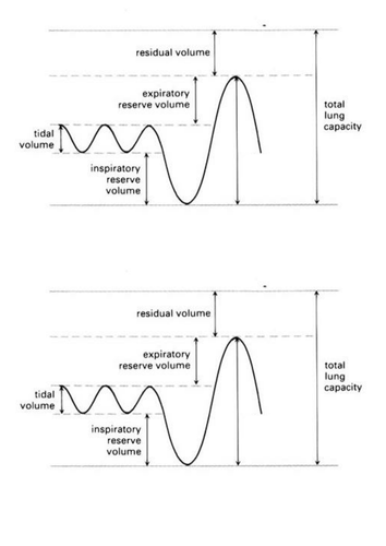 Aqa Gcse Pe 2016 Spec Spirometer Trace By Jshields Teaching Resources Tes 3041