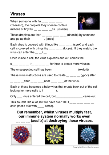 Worksheets Virus Worksheet micro organisms 5 viruses virus art powerpoint videos worksheet docx
