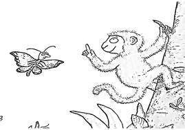 MONKEY PUZZLE STORY TEACHING RESOURCES LITERACY READING EYFS KS 1-2