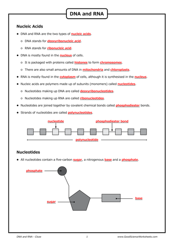 pdf, 511.39 KB