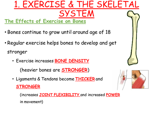 GCSE PE edexcel 1.2 topics covered in powerpoints and worksheets ...
