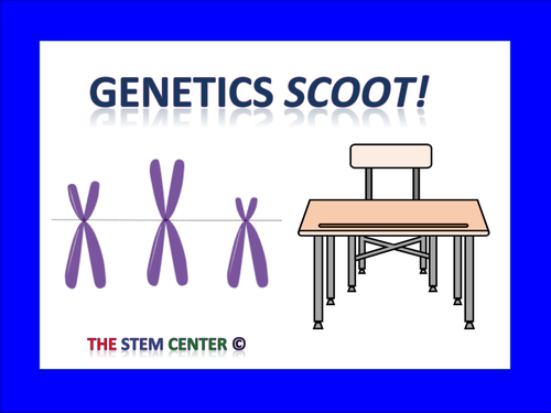 Genetics Scoot 