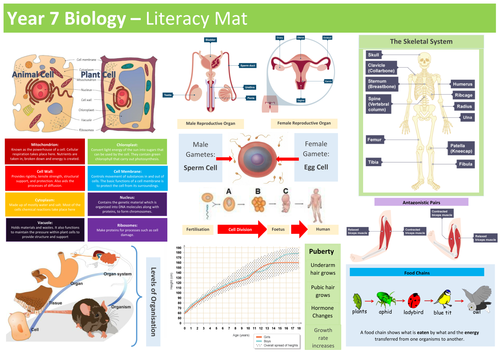 Year 7 Biology Literacy Mat 