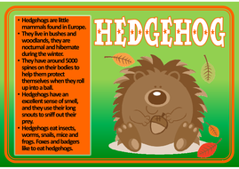 THE HODGEHEG STORY TEACHING RESOURCES EYFS KS1-2 HEDGEHOG ROAD SAFETY ...