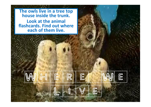 OWL BABIES STORY TEACHING RESOURCES, LITERACY, READING, EYFS, KS 1-2 ...