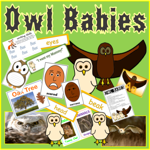 OWL BABIES STORY TEACHING RESOURCES, LITERACY, READING, EYFS, KS 1-2 ANIMALS