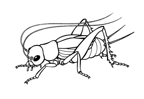 GIRAFFES CAN'T DANCE STORY TEACHING RESOURCES EYFS KS 1-2 ...