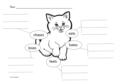 Cat spider diagram by VanThom - Teaching Resources - TES