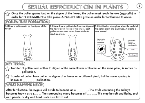 Plant Reproduction Worksheet Pack By Beckystoke Teaching Resources Tes 