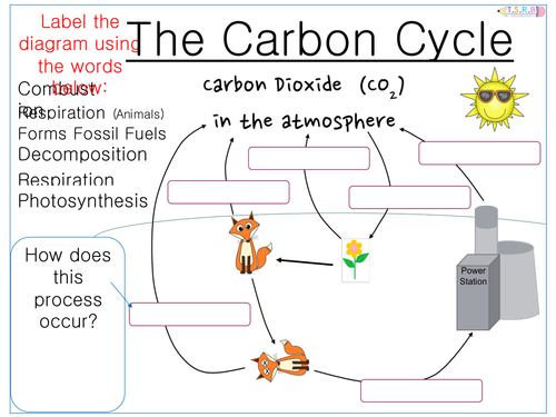 afl-quiz-and-worksheets-the-carbon-cycle-by-uk-teaching-resources-tes