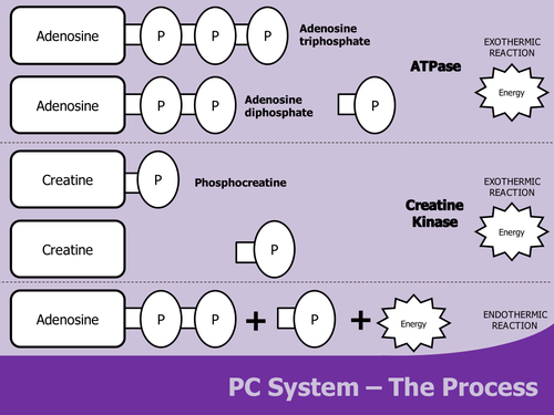 pptx, 229.9 KB