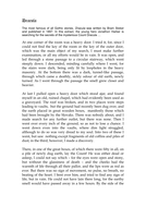 Dracula book review essay picture