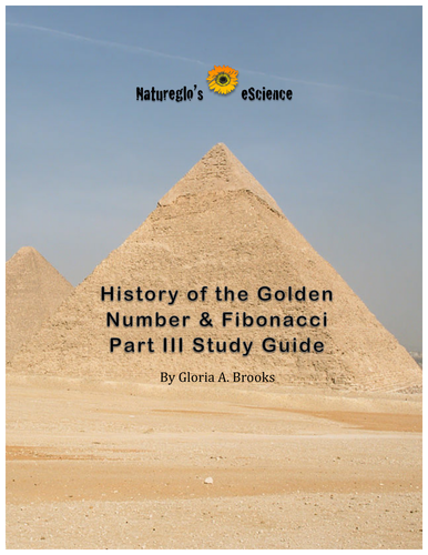 The Golden Number & Fibonacci 3 PowerPoints & 2 Activity Guides ...