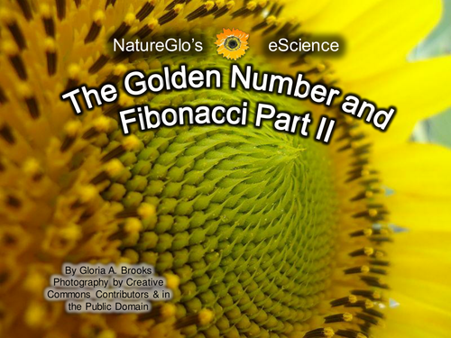The Golden Number & Fibonacci 3 PowerPoints & 2 Activity Guides ...