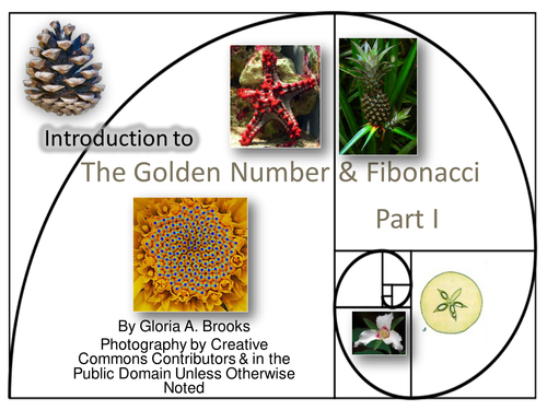 The Golden Number & Fibonacci 3 PowerPoints & 2 Activity Guides ...