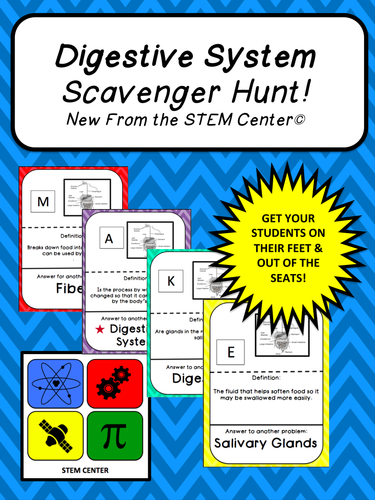 Digestion System SCAVENGER HUNT!