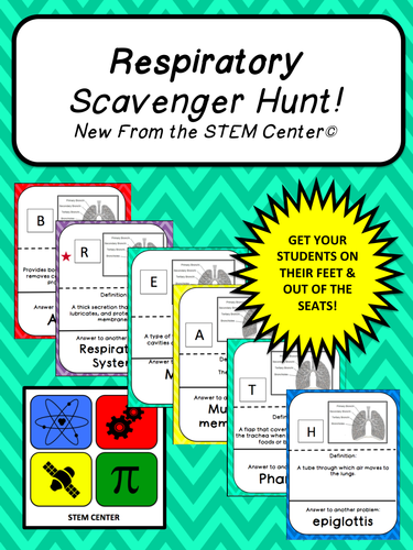 Respiratory System SCAVENGER HUNT!