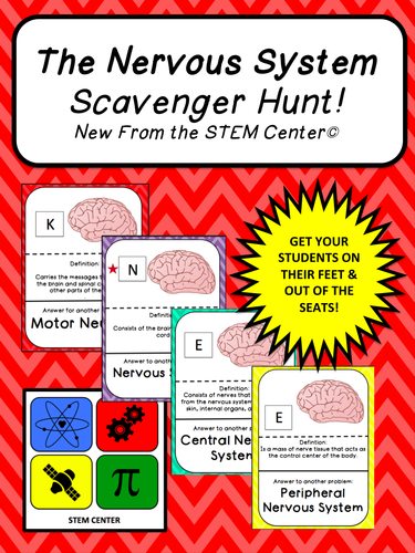 Nervous System SCAVENGER HUNT!