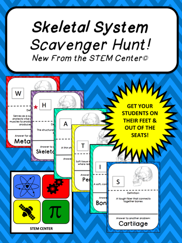 Skeletal System SCAVENGER HUNT!