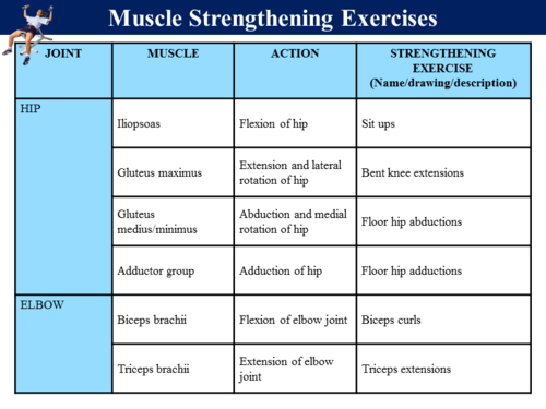 Muscles and Movement - 2 | Teaching Resources