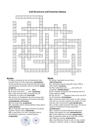 Worksheet Cell Structure And Function Worksheet Answers crossword cell organelles structure and function prokaryote basics answers