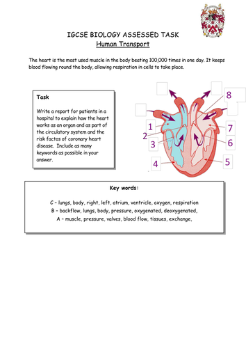 docx, 457.57 KB